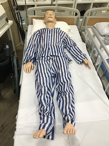 간호현금홀덤 어플용전신인체모형2.jpg